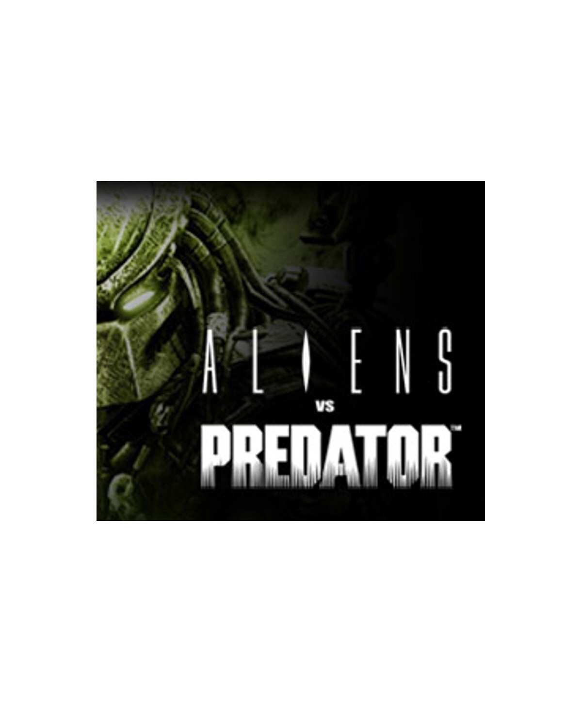 Aliens Vs. Predator Steam Key EUROPE